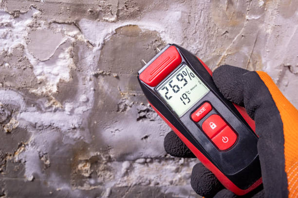 Best Local Mold Removal Service  in Parkersburg, IA