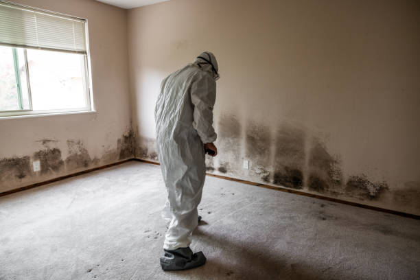 Water Damage Restoration in Parkersburg, IA